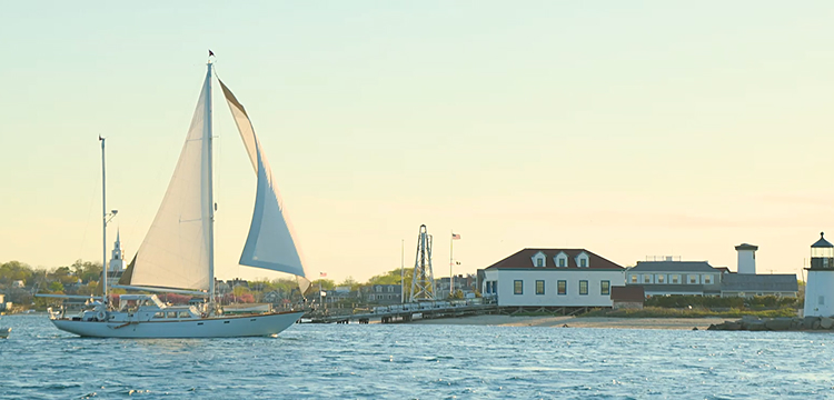 Summer Picks Header
