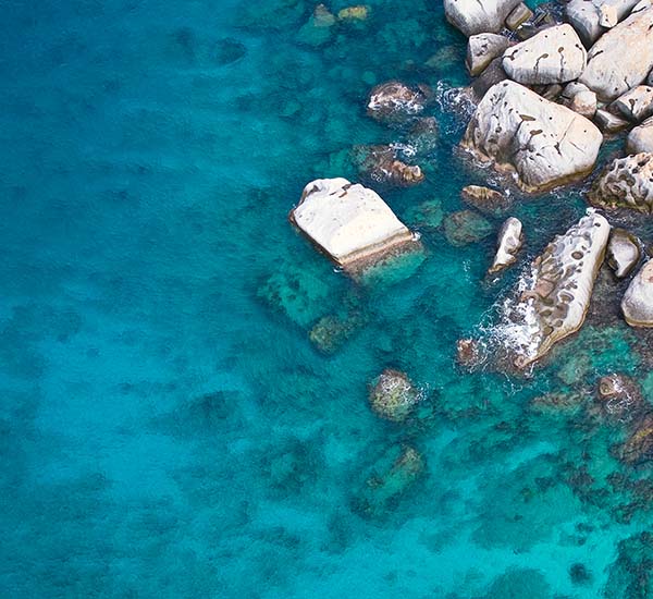 vineyard vines online