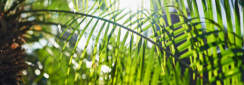 friends on the harbor