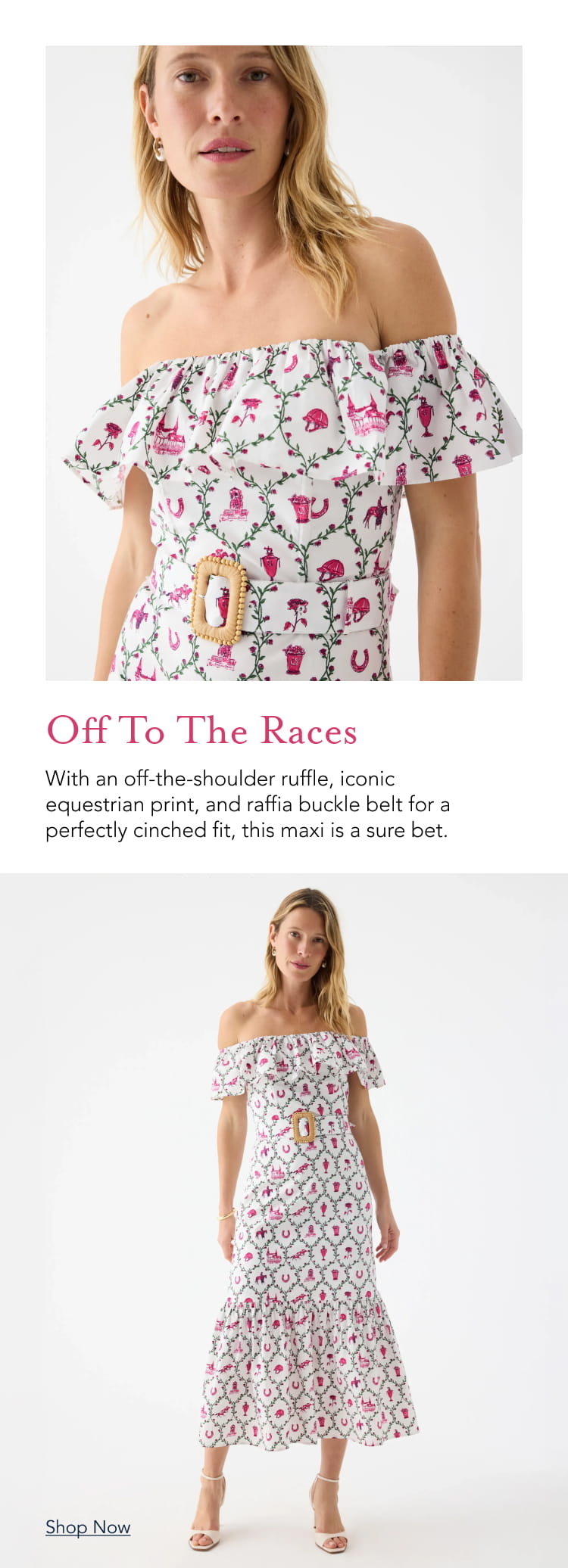 Vineyard Vines Promo Banner