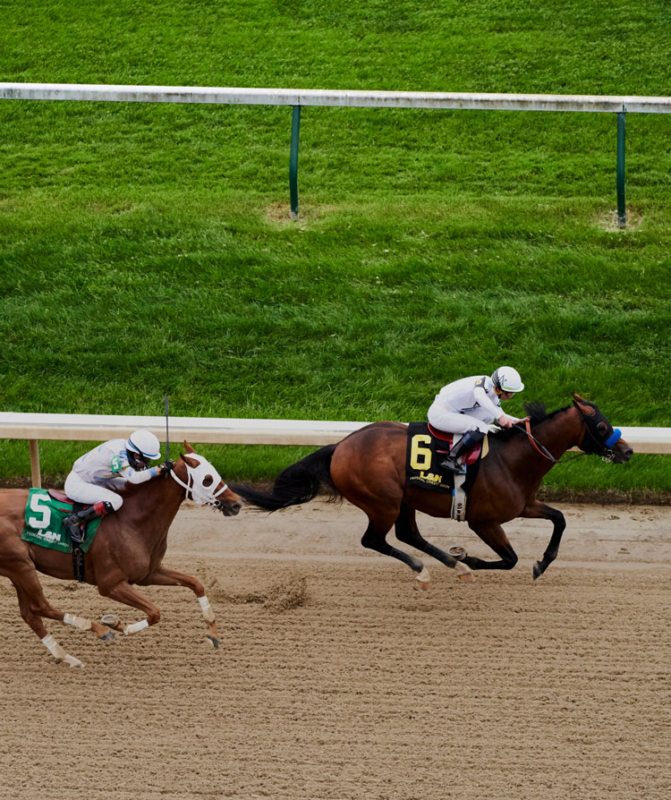 Churchill Downs racetrack
