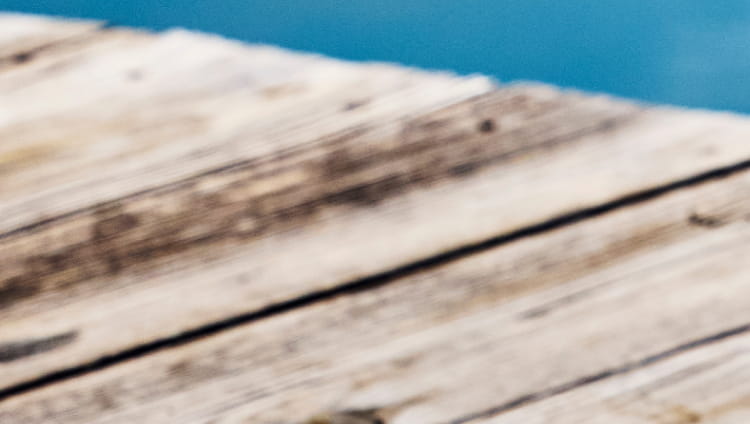 Vineyard Vines Promo Banner