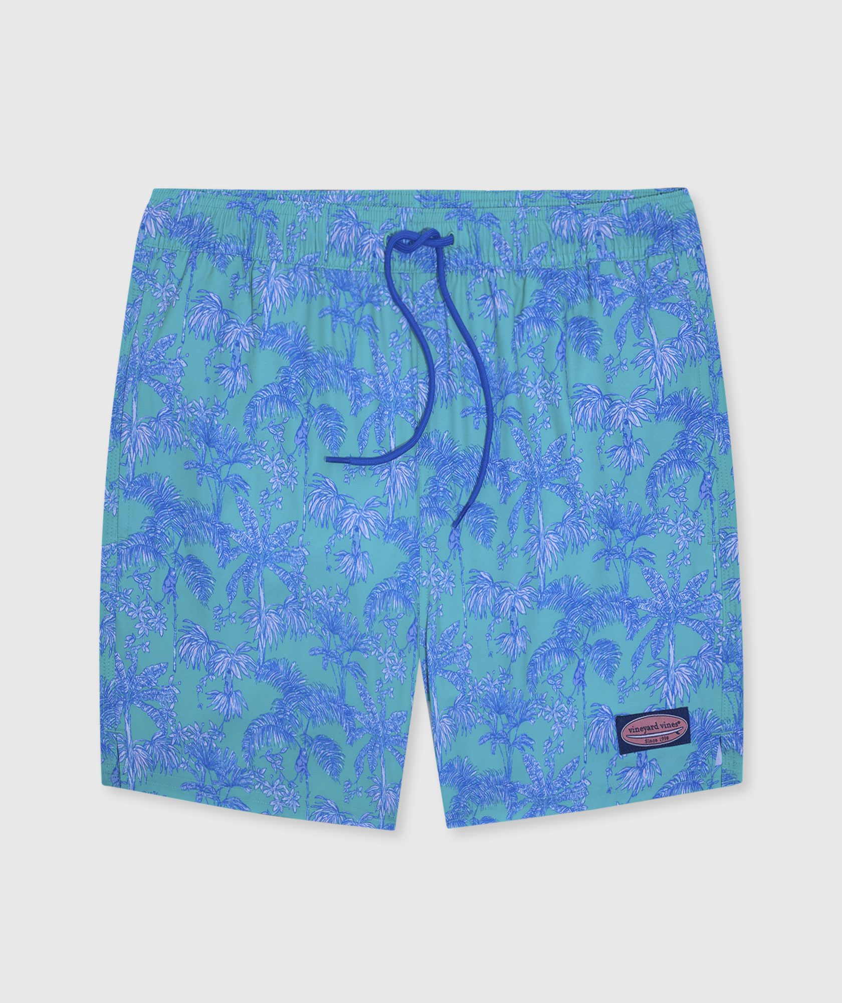 OUTLET Boys' Monkey Biz Chappy Swim Trunks