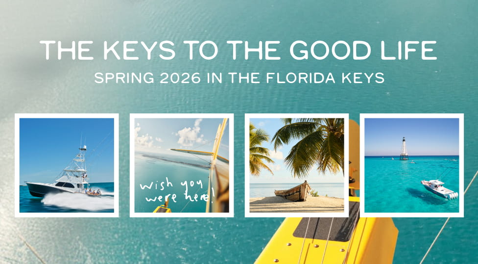 Vineyard Vines - Enjoy up to 65% off all sale styles.