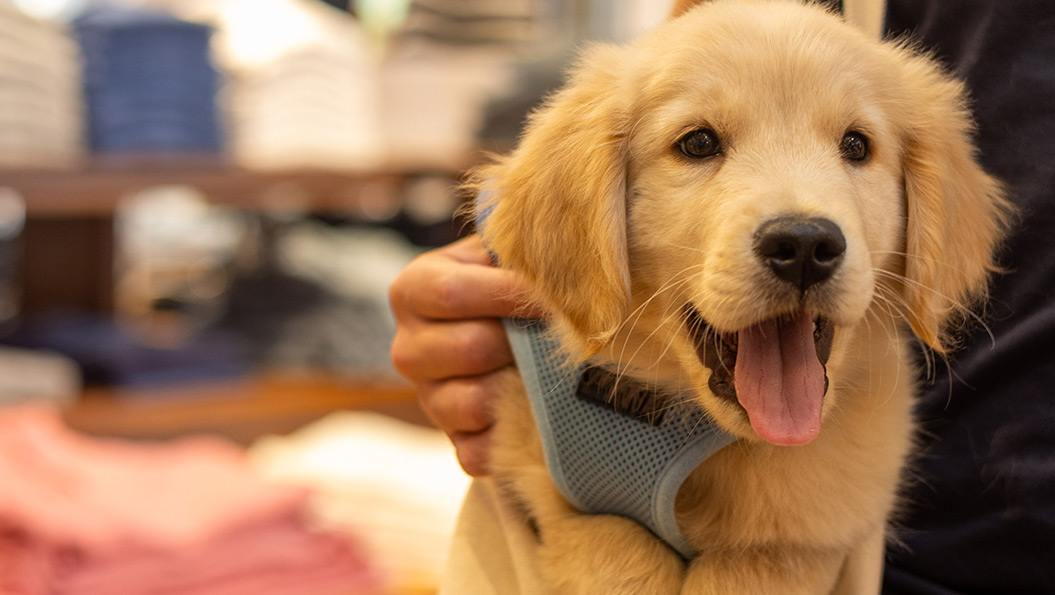 Shep and Ian Murray on a boat