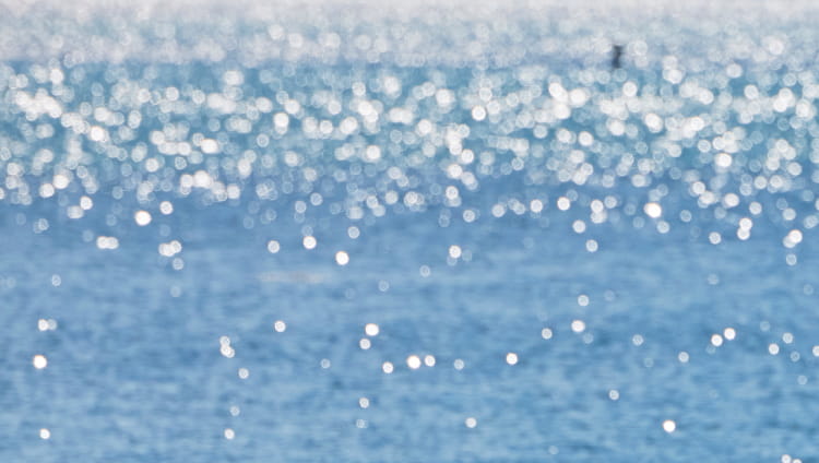 spring break mood header