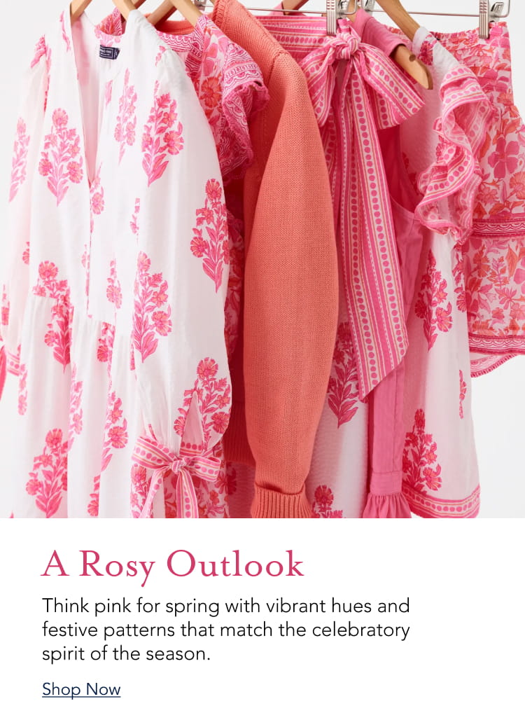 Vineyard Vines Promo Banner