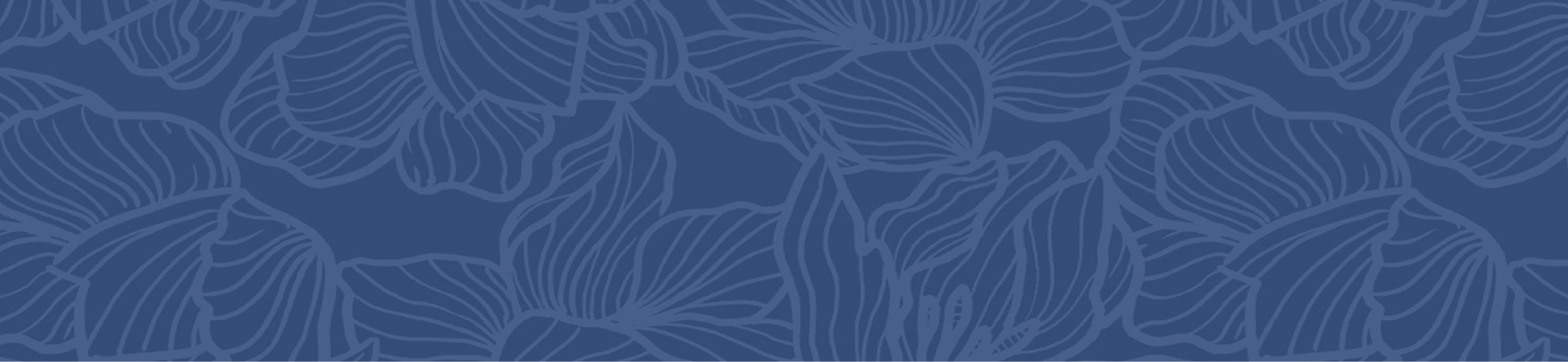 Split Width Banner Background