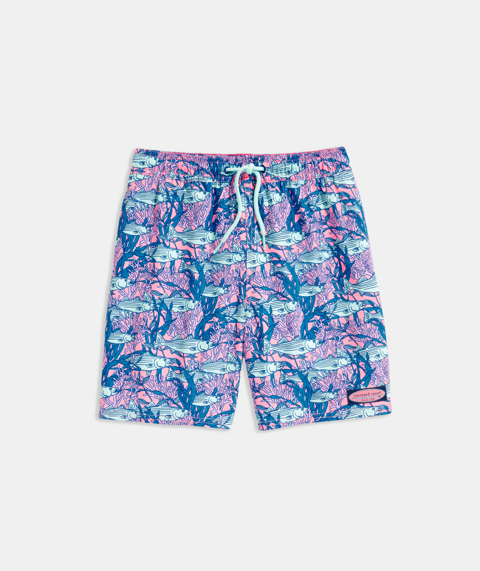 Shop Boys Printed Chappy Trunks at 